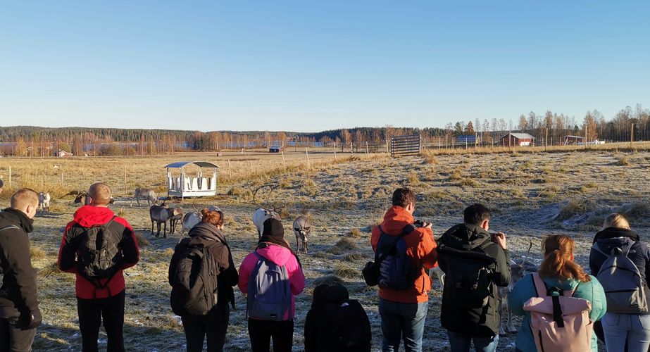 Rendierherder Sami exursie